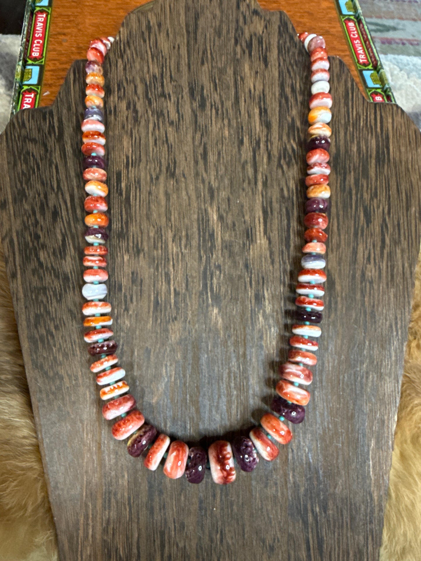 Multi Spiny & Turquoise Chip Necklace
