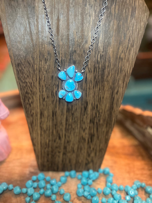 Large Blue Ridge Cluster