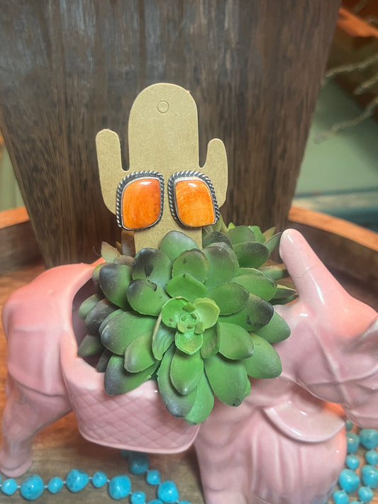 Bright Orange Spiny Studs