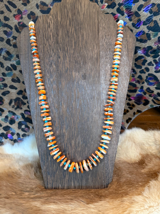 Long Spiny & Kingman Necklace